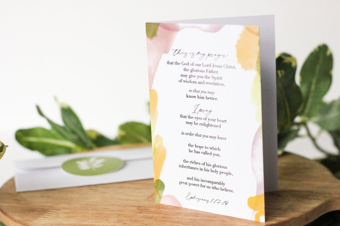 Point to Jesus Bundle