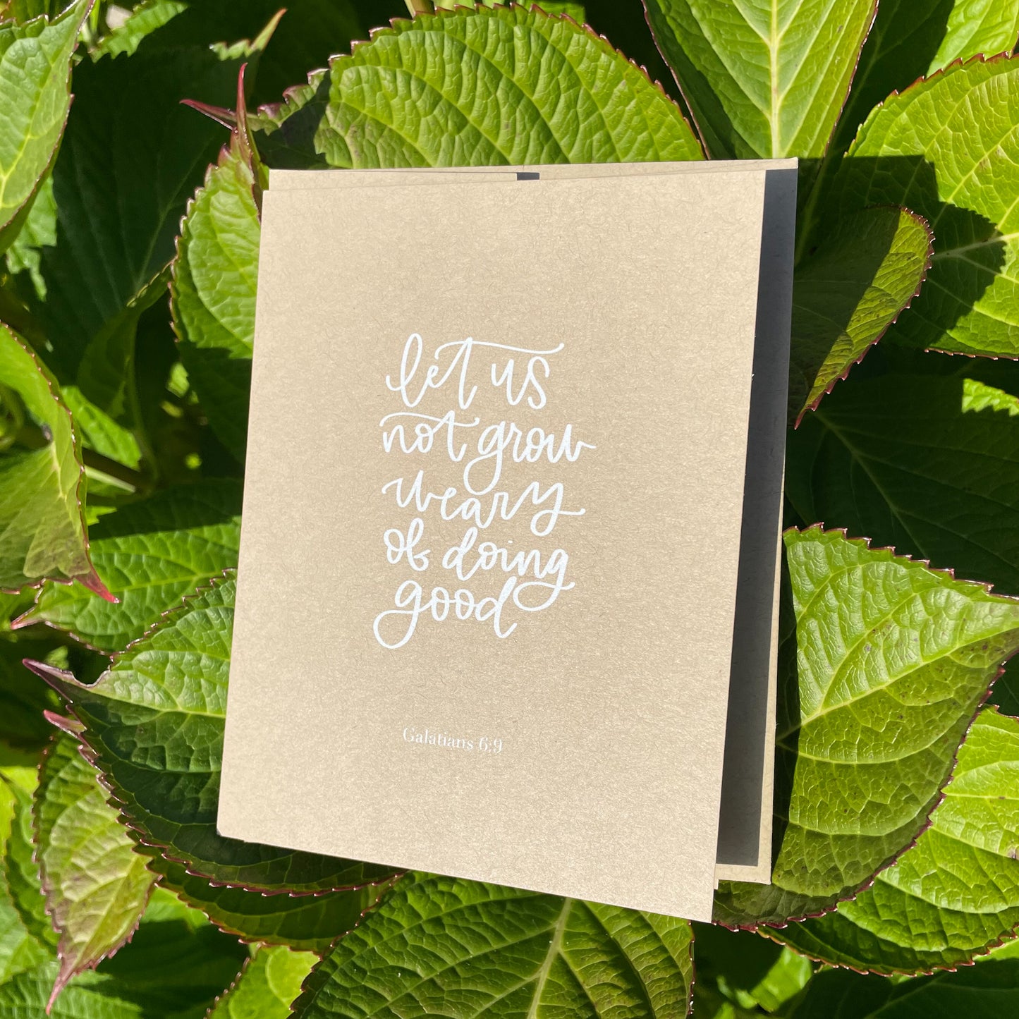 Not grow weary // Gal. 6:9