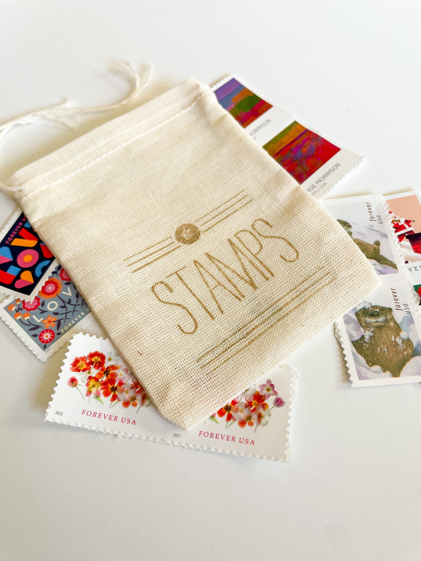 Starter Kit - Variety Pack