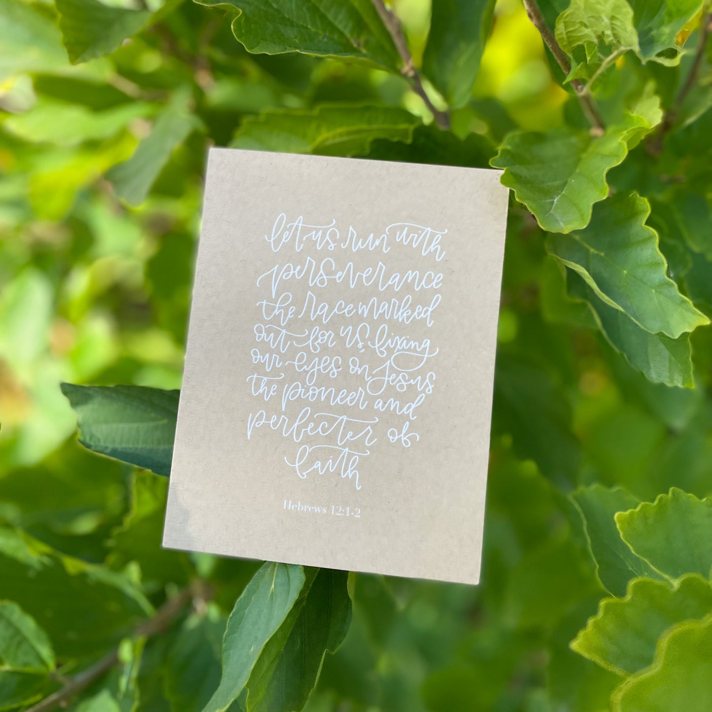 Perseverance // Heb. 12:1