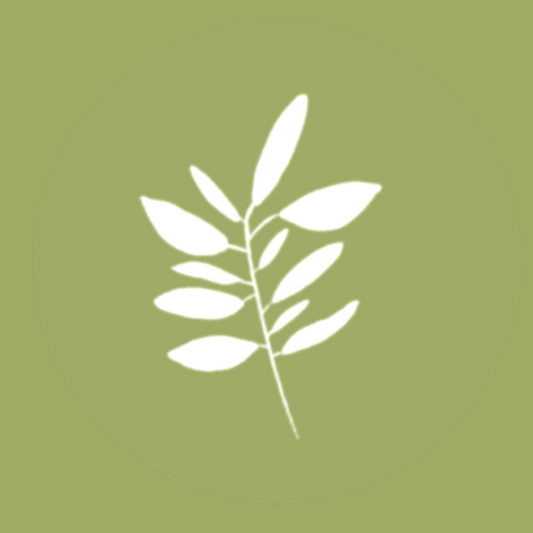 Para Paper Co. E-Gift Card